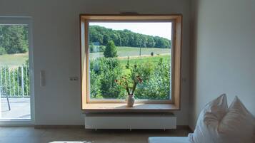 Apartment Gaustube | View from room