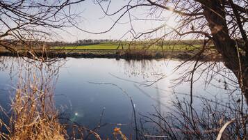 A calm lake with reflections of trees and a distant green field.