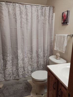 Ducha, secador de pelo, toallas, jabón