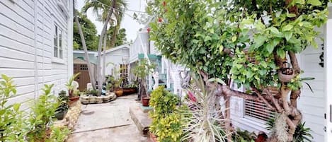 Terrain de lâhĂ©bergement