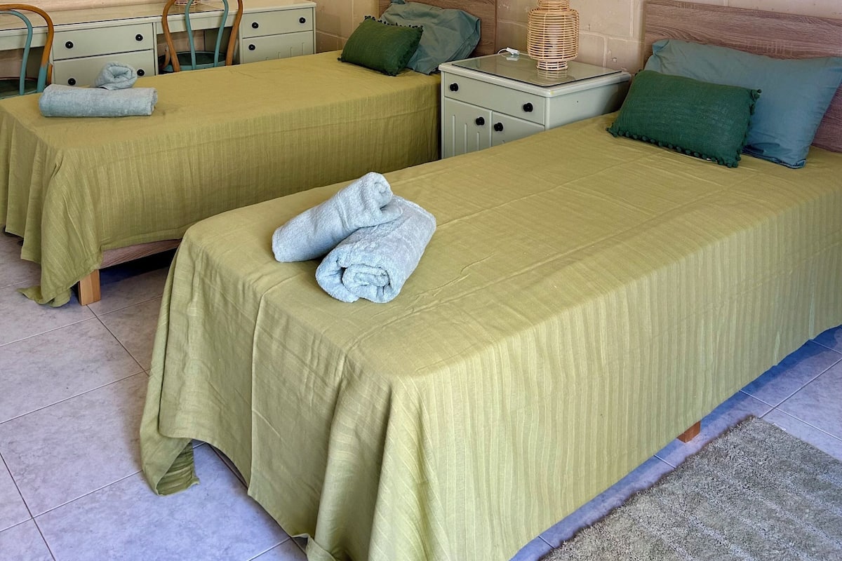 Classic Double or Twin Room, City View | Free WiFi