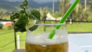 A glass of beer with a green straw and a basil leaf garnish on a wooden table with a view of mountains and palm trees in the background. - Cocora Valley Cabin (Quindío)
