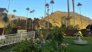 A garden with palm trees, a fountain, and a white metal fence. - Cocora Valley Cabin (Quindío)