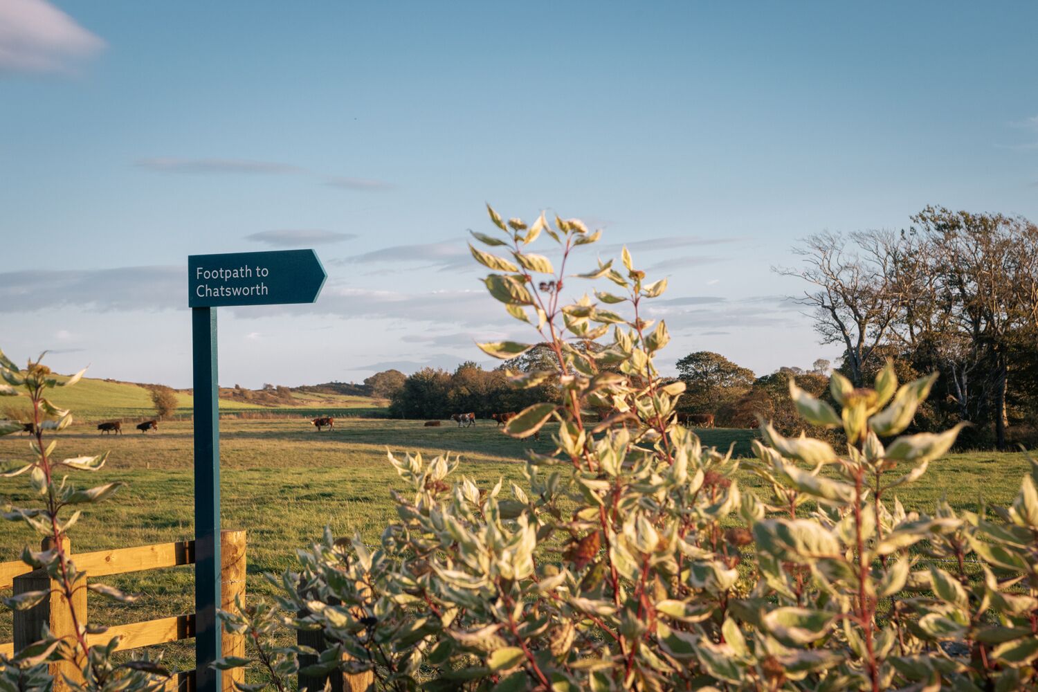 A rural landscape with a signpost indicating a footpath to Chatsworth.