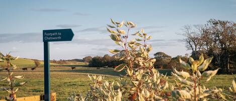 A rural landscape with a signpost indicating a footpath to Chatsworth.