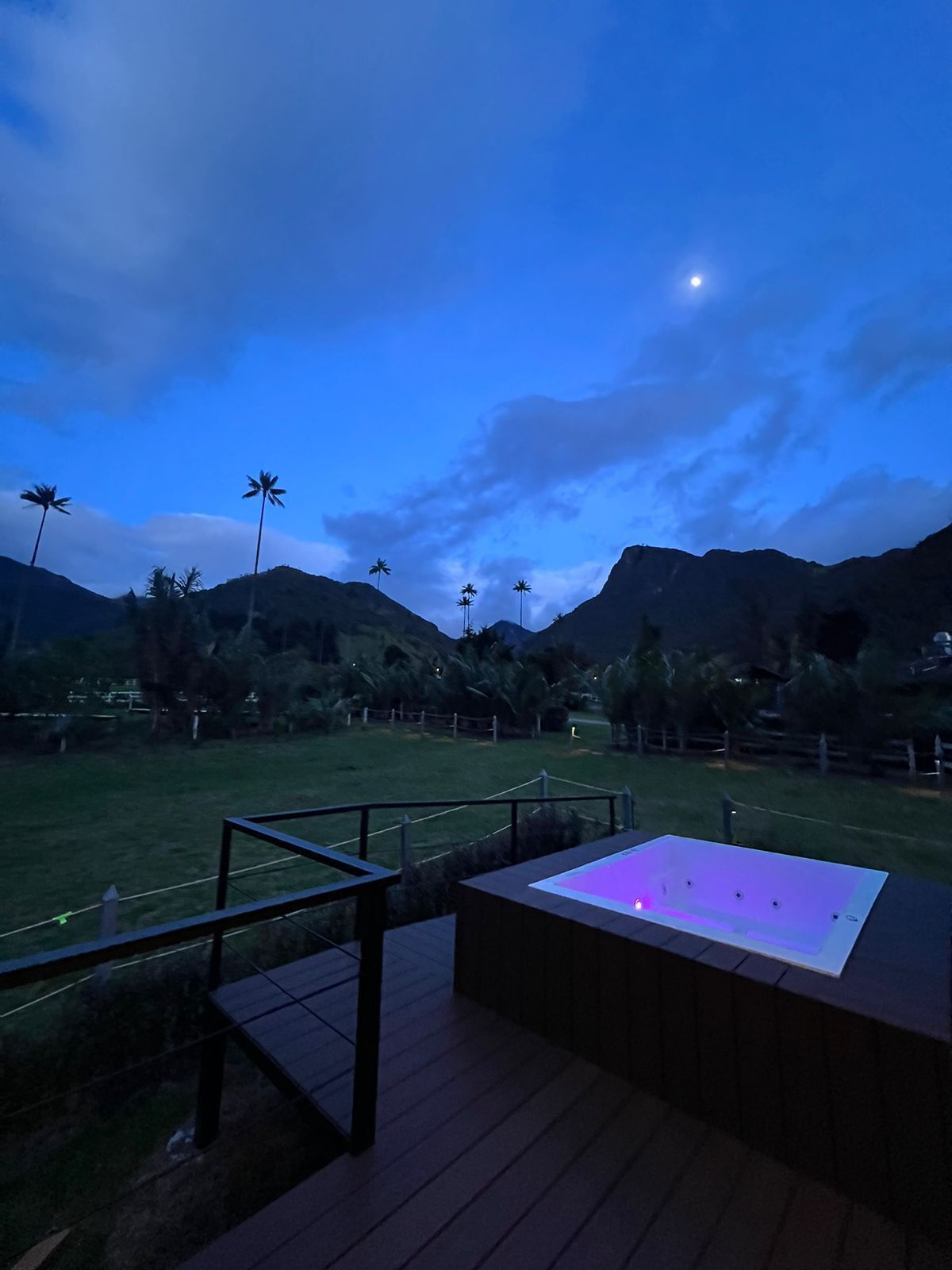 A deck with a hot tub, surrounded by palm trees and mountains under a twilight sky.