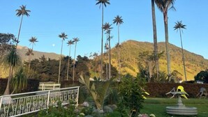 Un jardín con palmeras, una fuente y una montaña al fondo.