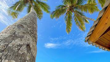 Accommodatie ligt op het strand, ligstoelen, strandlakens