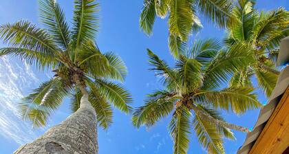 Amazing & Solemn Ocean & Beach Front Apartment in Juan Dolio with a Huge Balcony