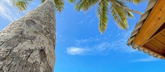 Amazing & Solemn Ocean & Beach Front Apartment in Juan Dolio with a Huge Balcony