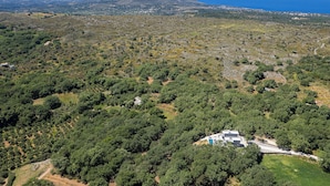 Vista aérea de una propiedad rodeada de densa vegetación, un edificio pequeño con piscina y un telón de fondo costero.