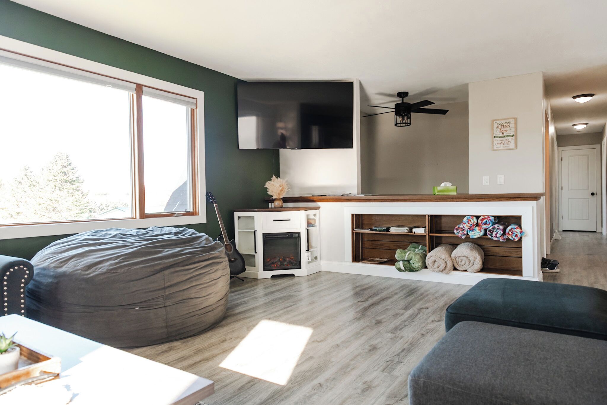 Smart TV, fireplace, books, video library