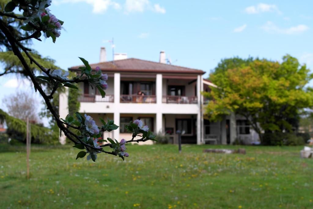 외부 세부 사진