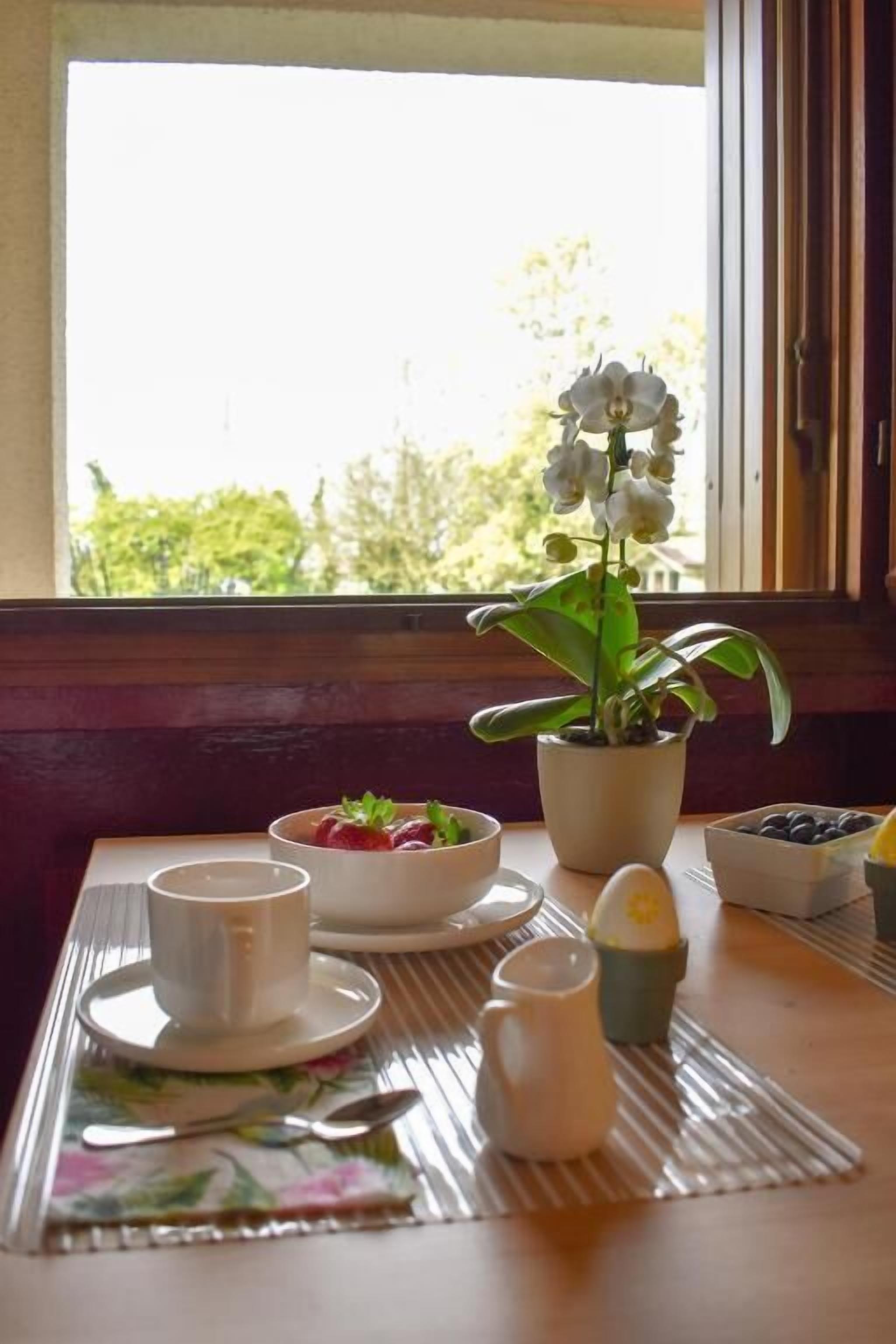 A breakfast table with a potted orchid, a bowl of strawberries, a cup, and a pitcher.