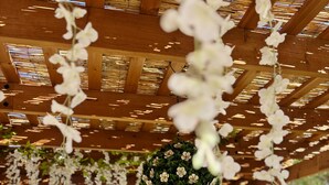 Une pergola en bois ornée de fleurs blanches suspendues au plafond, une table ronde avec des chaises, et une vue sur un jardin et une maison en arrière-plan.