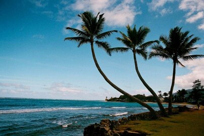 Island Oceanfront Getaway