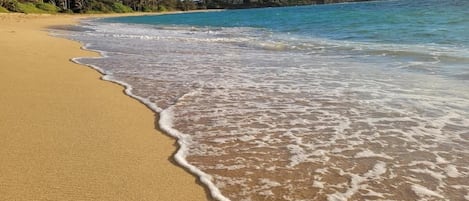 Playa en los alrededores