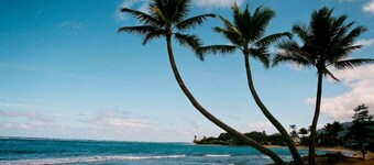 Oahu Oceanfront Getaway