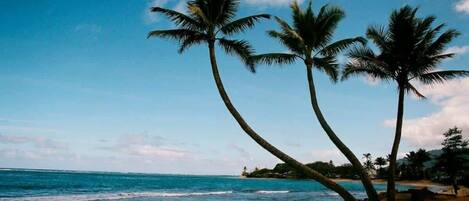 Playa en los alrededores