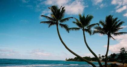 Oahu Oceanfront Getaway