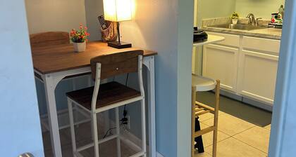 Modern Miami Oasis Near Downtown, Port, Wynwood, Design District & Airport!