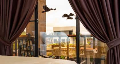 Luxury Canyon Suites