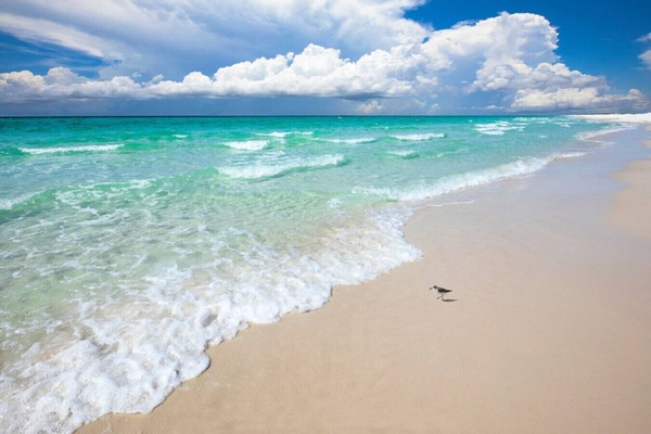 Playa en los alrededores