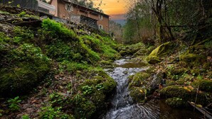 Ein rustikales Steinhaus mit Holzdach, umgeben von üppiger Vegetation und einem kleinen Bach.