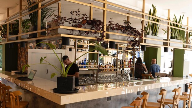Un área de bar moderna con una encimera de mármol, taburetes de madera y una variedad de plantas.
