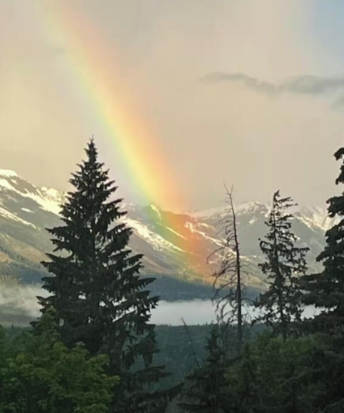 Un paysage de montagne avec un arc-en-ciel, des arbres et un lac.