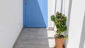 Un pasillo estrecho con una puerta azul, techo de madera y una planta en maceta.