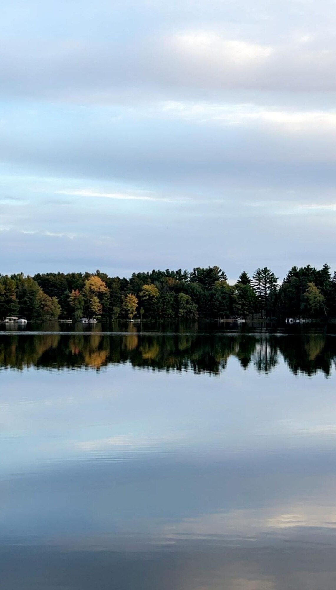 Foto de perfil del anfitrión