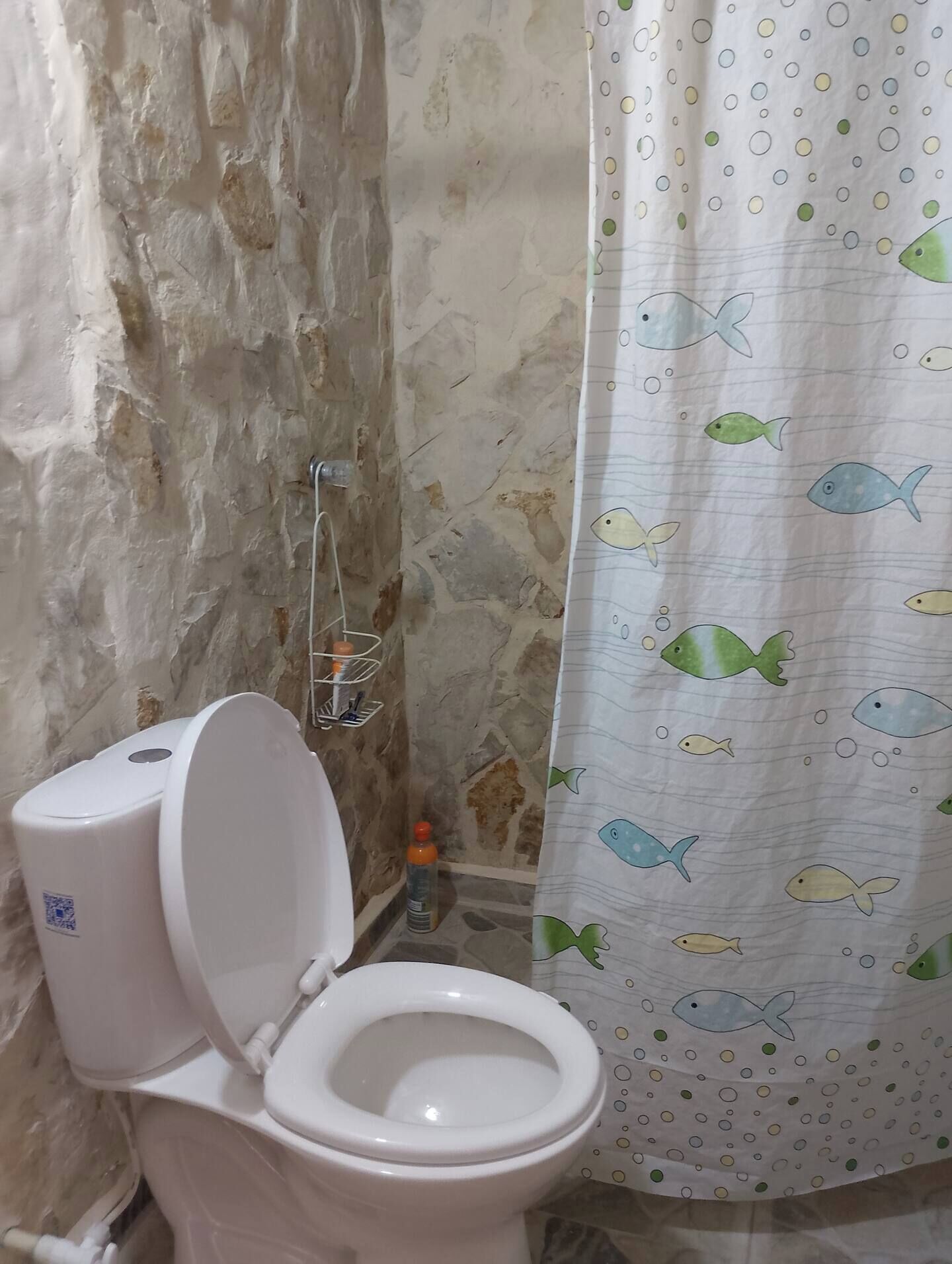 Dusche, Handtücher, Seife, Toilettenpapier