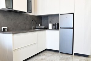 Fridge, stovetop, cookware/dishes/utensils