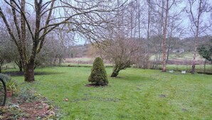 Een groene tuin met verschillende bomen en struiken.