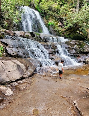 A waterfall cascading over rocks in a forested area.