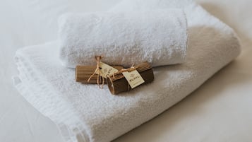 Shower, free toiletries, hair dryer, towels
