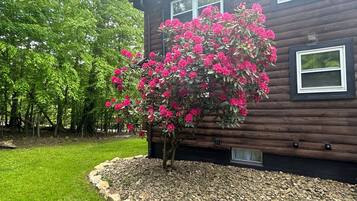 Terrein van de accommodatie