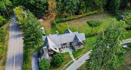 Chestnut on Willow Lake