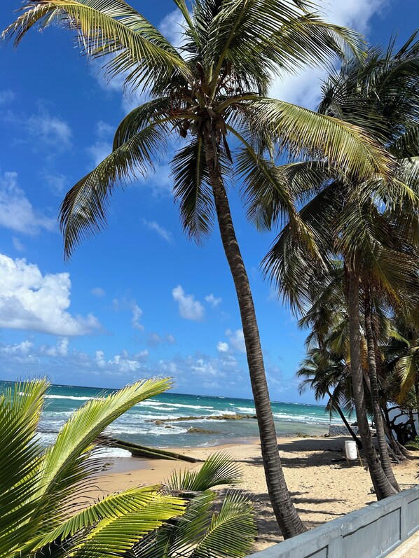 Serviettes de plage