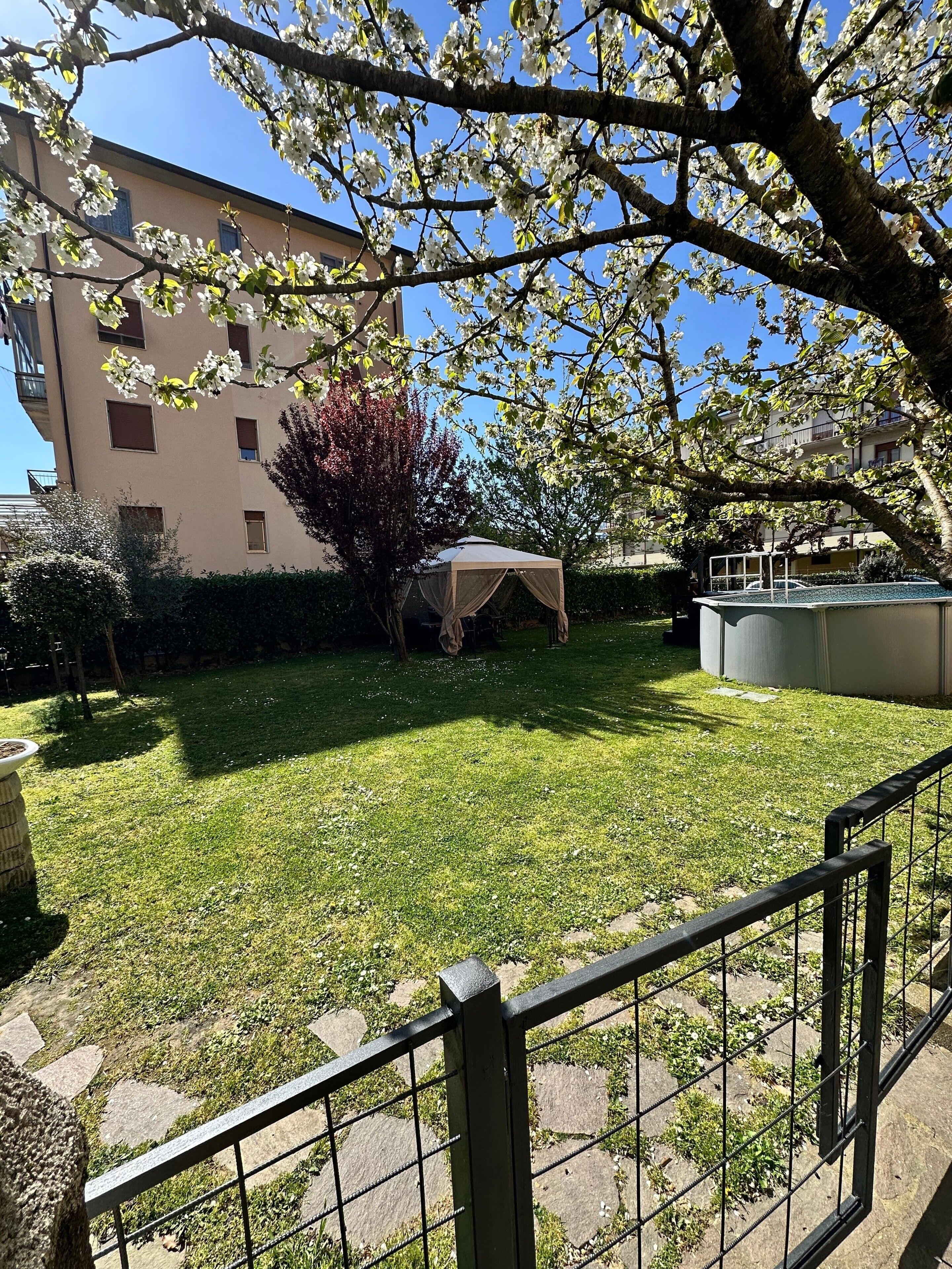 Une cour avec une tente, un arbre aux fleurs blanches et un bâtiment en arrière-plan.