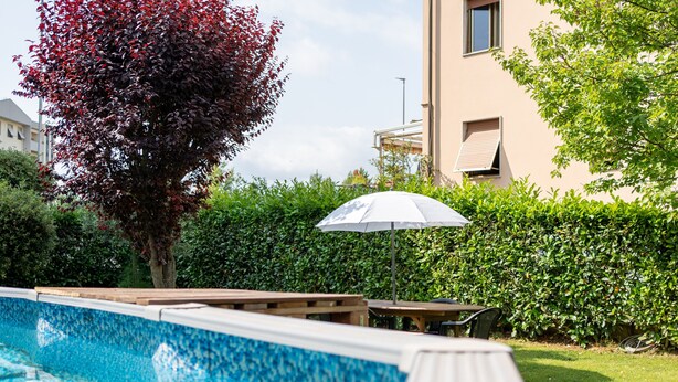 Una piscina con cubierta de madera, un árbol de hojas rojas y un edificio de fachada color crema.