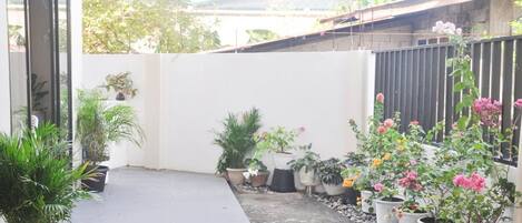 Un estrecho sendero al aire libre bordeado de plantas en macetas y una pared blanca.