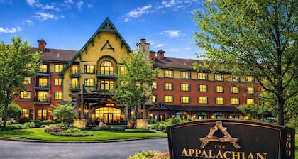 1BR Updated Condo at The Appalachian • Deck, Fireplace & Stunning Views #251