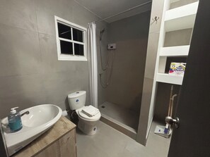 Chuveiro, secador de cabelo, toalhas de banho, shampoo