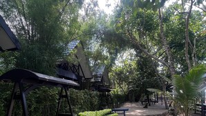 Un sendero bordeado de helechos y árboles, que lleva a un edificio con techo triangular y una estructura de madera con techo inclinado.