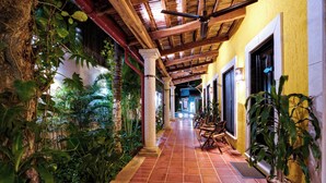Garden - Casa Clorinda (Campeche)