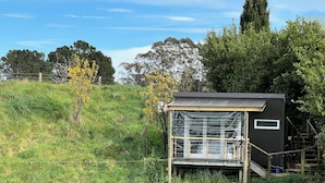 A small, single-story structure with a metal roof and glass walls, surrounded by grass and trees. - Quiet, private Cosy Cabin with en-suite. Access to bike paths, river and pub. (Puketapu)