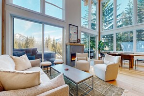 TV, fireplace, DVD player, books