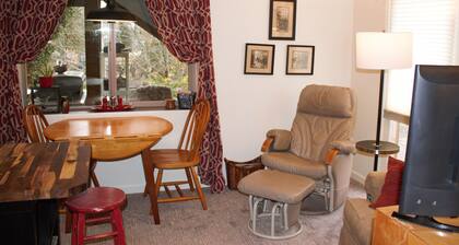 Beautifully furnished Studio with AC and WiFi in fantastic Salem